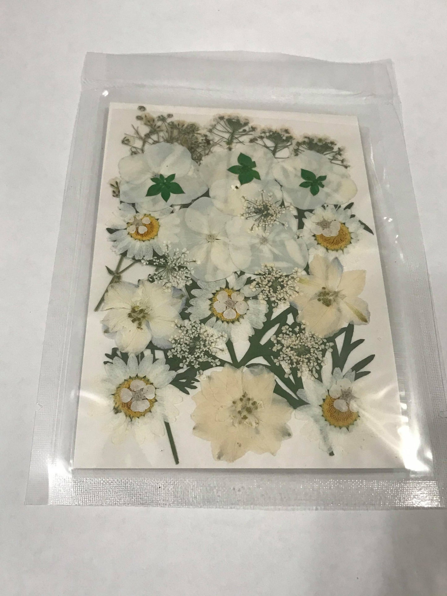 Pressed Flowers - White