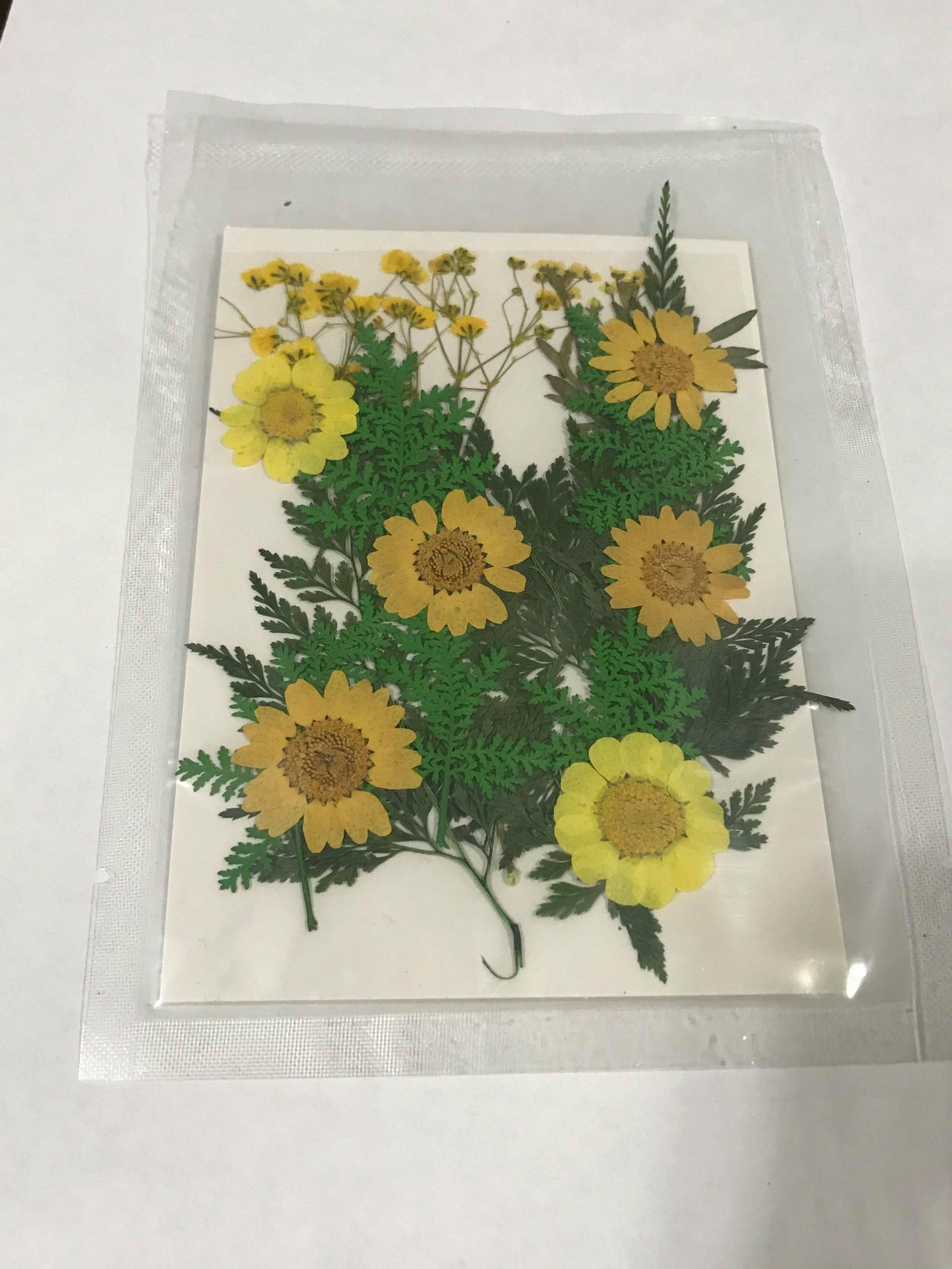 Pressed Flowers - Yellow 2