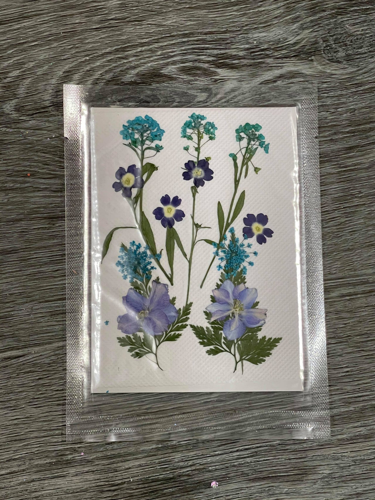 Periwinkle Pressed Flowers