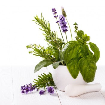 Lavender & Basil Fragrance Oil