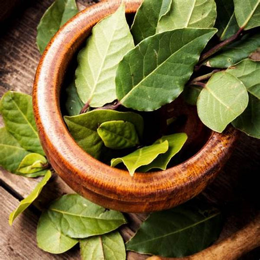 Bay Leaf & Tobacco Fragrance Oil