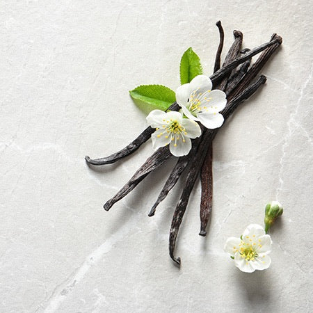 Tahitian Vanilla Fragrance OIl