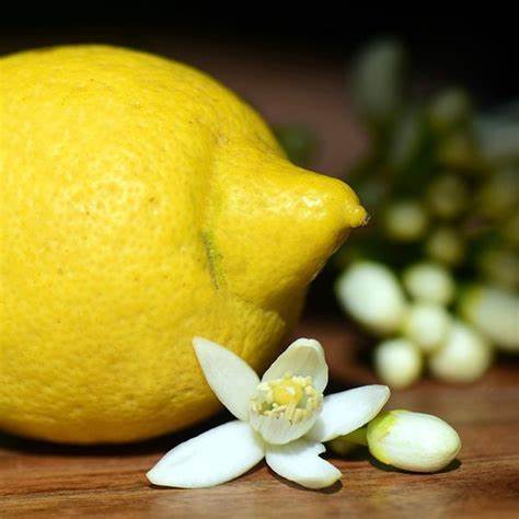 Lemon Blossom Fragrance Oil