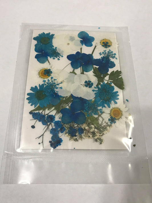 Pressed Flowers - Blue