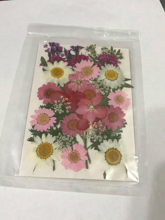 Pressed Flowers - Mixed 2