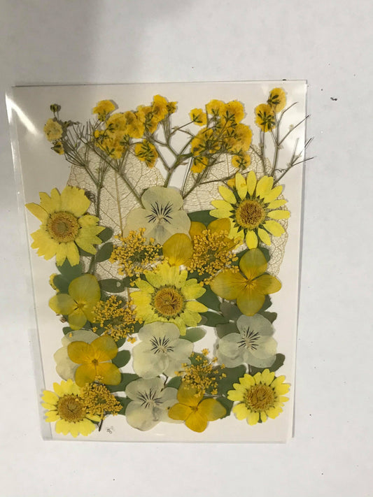 Pressed Flowers - Yellow 1