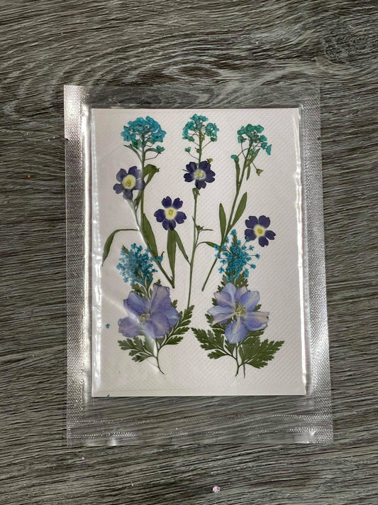 Periwinkle Pressed Flowers