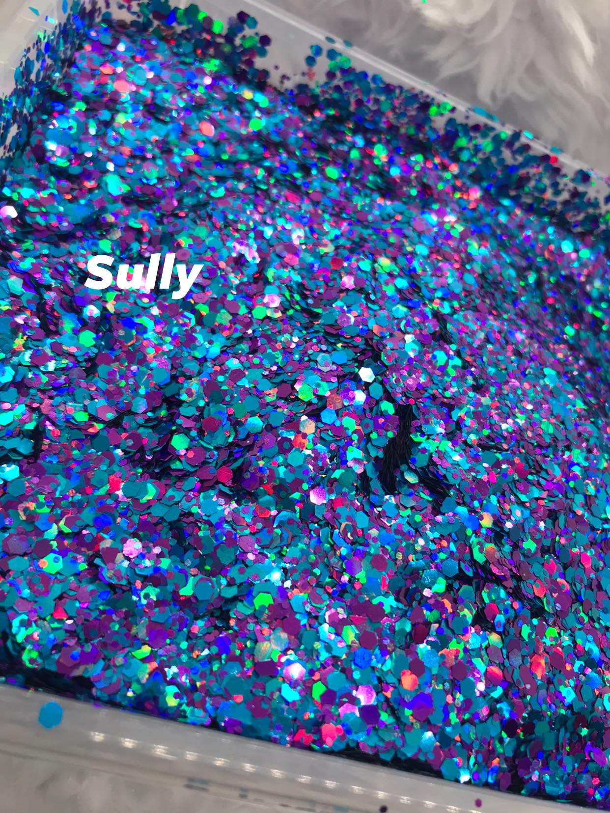 Sully Holographic Chunky Mix